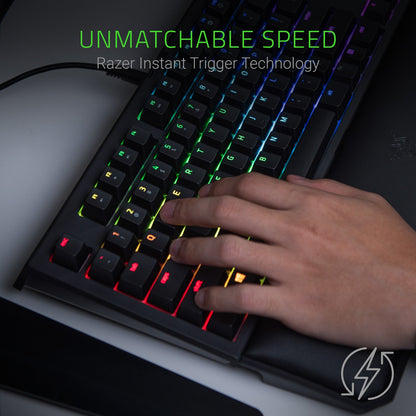 Razer BlackWidow TE Chroma v2 Mechanical Gaming Keyboard: Green Key Switches - Tactile & Clicky - Chroma RGB Lighting - Magnetic Wrist Rest - Programmable Macro Functionality - Classic Black