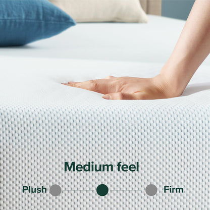 Zinus 10 Inch Green Tea Cooling Memory Foam Mattress [New Version], Queen, Fiberglass Free, Medium Firmness, Cooling Gel Foam, Certified Safe Foams & Fabric, Mattress in A Box 10" New Small Box