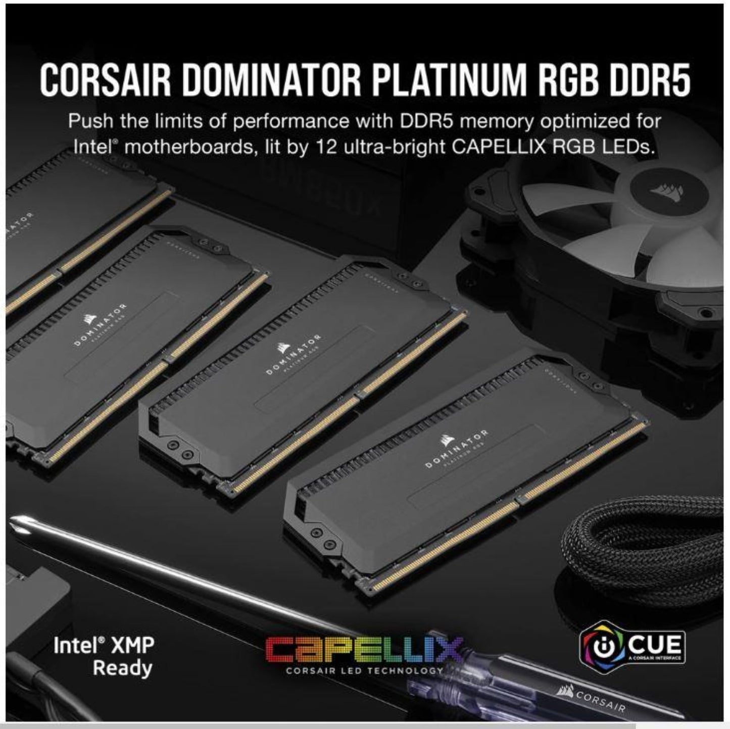 CORSAIR DOMINATOR PLATINUM RGB DDR5 RAM 32GB (2x16GB) 5200MHz CL40 Intel XMP iCUE Compatible Computer Memory - Black (CMT32GX5M2B5200C40) 32GB (2x16GB)